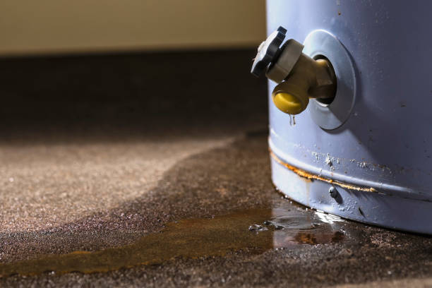 Best Water damage contractors near me  in White Rock, NM