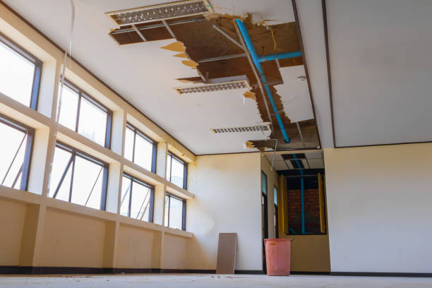 Best Local water damage restoration  in White Rock, NM