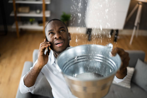 Best Water damage restoration mold remediation  in White Rock, NM