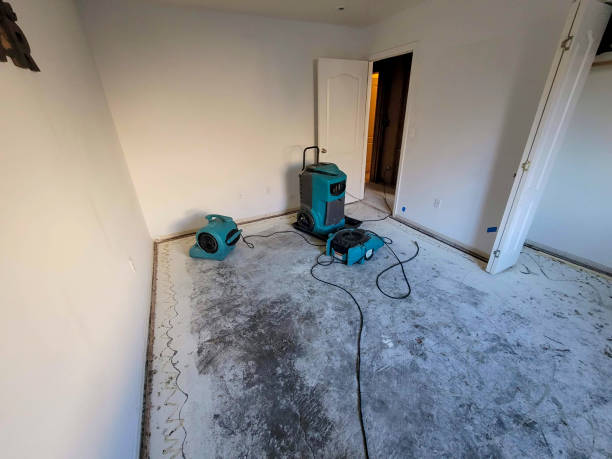 Best Ceiling water damage repair  in White Rock, NM