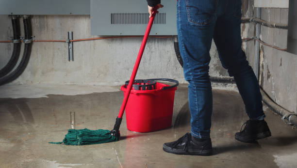 Best Water damage restoration specialists  in White Rock, NM