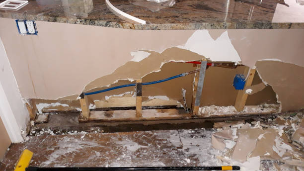 Best Water damage contractors near me  in White Rock, NM