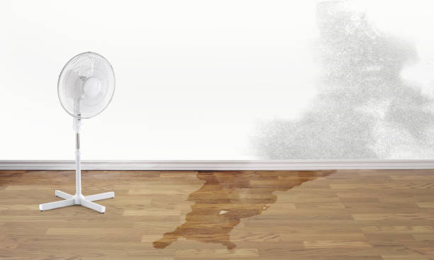 Trusted NM Water damage restoration Experts