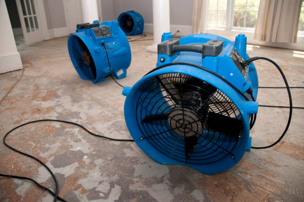 Best Sewage cleanup and water damage restoration  in White Rock, NM