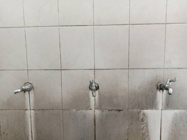 Best Water damage mitigation services  in White Rock, NM
