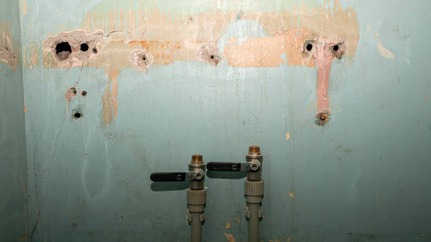 Best 24/7 water damage repair  in White Rock, NM