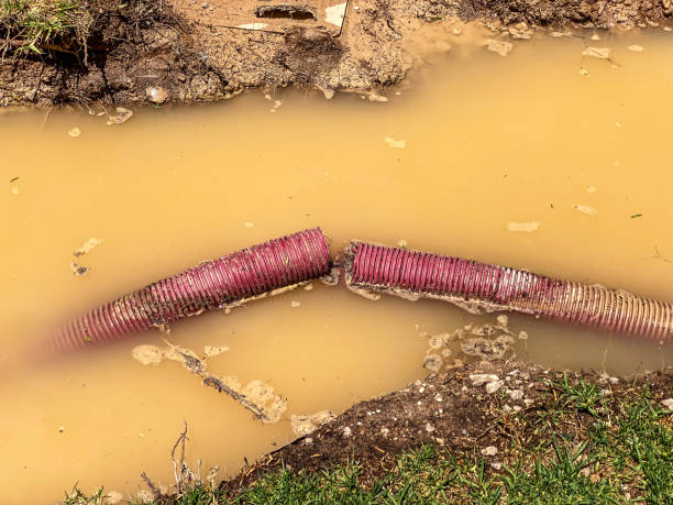 Best 24-hour water damage restoration  in White Rock, NM