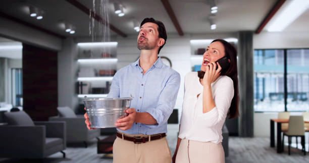  White Rock, NM Water damage restoration Pros