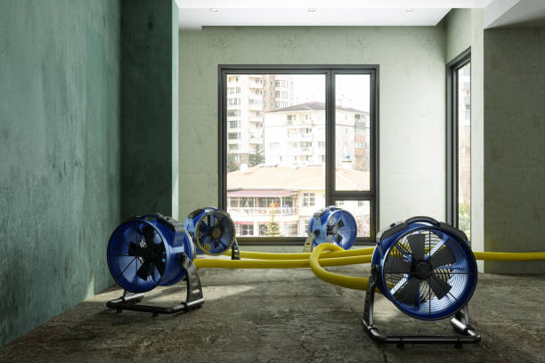 Best 24-hour water damage restoration  in White Rock, NM