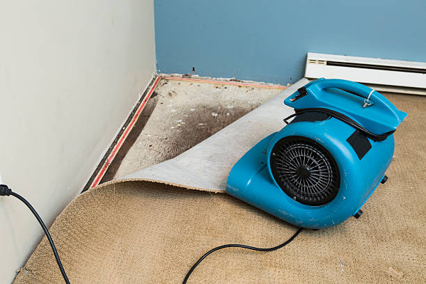 Best Local water damage restoration  in White Rock, NM